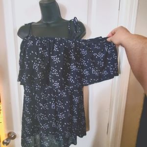 Sheer off should blouse